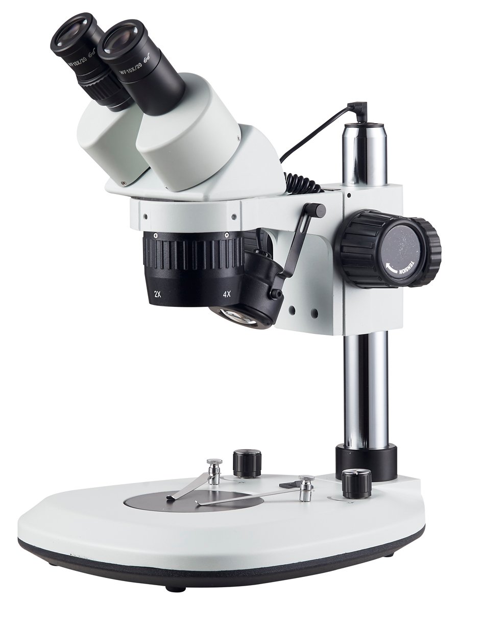 Microscope accessories