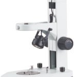 Stereo Microscope ST6024-B9L microscope product image