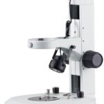 Stereo Microscope ST6024N-J3L microscope product image