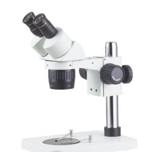 Stereo Microscope ST6024-B1 microscope product image
