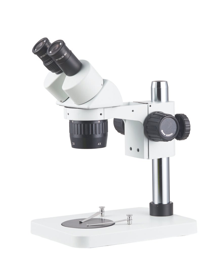 Stereo Microscope ST6024-B1 microscope product image