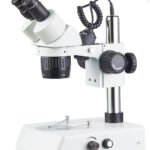 Stereo Microscope ST6024-B2 microscope product image