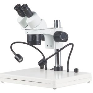 Stereo Microscope ST6024-B3LS microscope product image