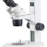 Stereo Microscope ST6024-B7 microscope product image