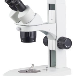 Stereo Microscope ST6024-B7 microscope product image