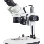 Stereo Microscope ST6024-B8L microscope product image