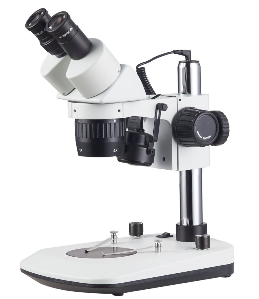 Stereo Microscope ST6024-B8L microscope product image