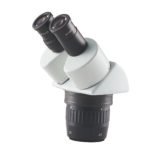 Stereo Microscope ST6024-B5 microscope product image