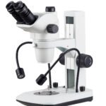 Stereo Zoom Microscope SZX6745T-B9LS microscope product image
